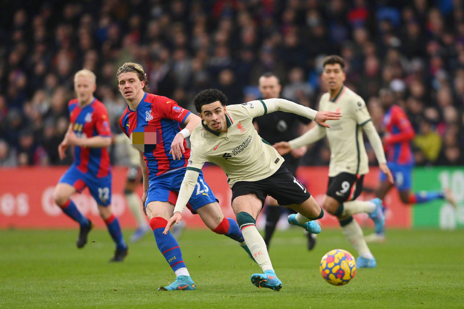 的搭档显然 的搭档显然